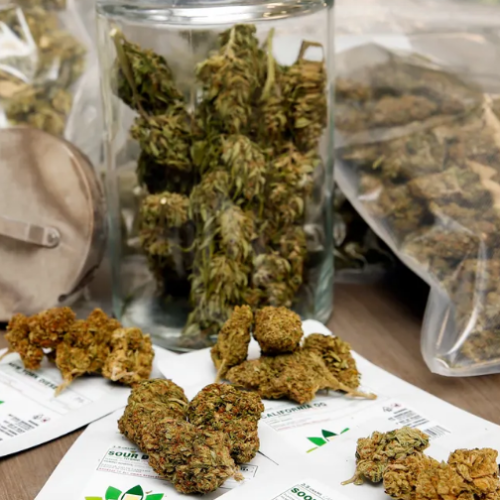 Homes in Legal Marijuana States Soar in Value, New Study Shows