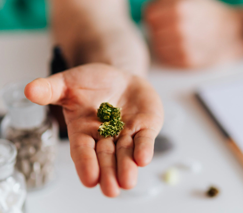 North Carolina Cannabis Council Opens Public Forum as Legalisation Debate Heats Up