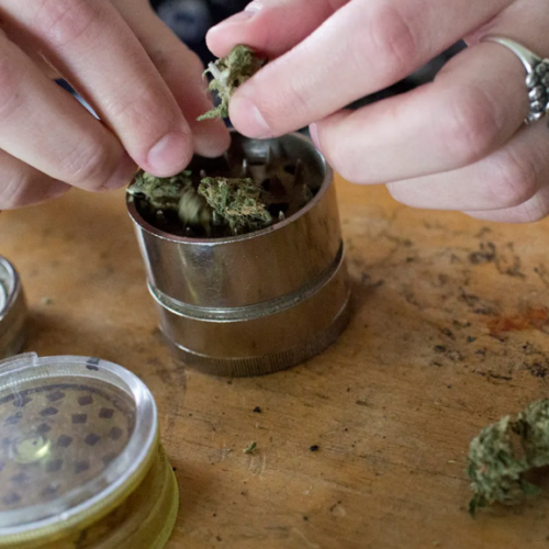 Senate Nudges VA Toward Medical Cannabis Use for Veterans Battling Opioid Addiction