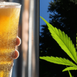 Marijuana Cuts Alcohol Use in Heavy Drinkers, New Study Shows