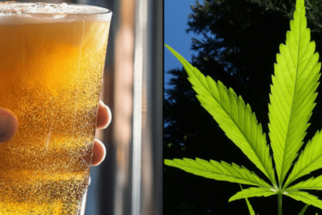 Marijuana Cuts Alcohol Use in Heavy Drinkers, New Study Shows