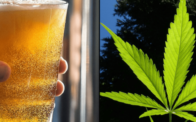 Marijuana Cuts Alcohol Use in Heavy Drinkers, New Study Shows