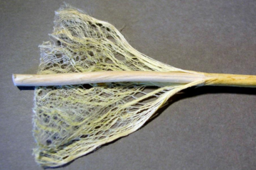 New Hampshire House Pushes Marijuana Legalization Forward