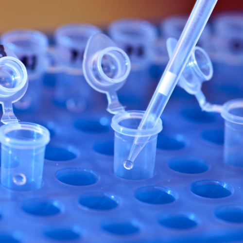 FDA Probes Petition on Marijuana Hair Test Risks from Secondhand Smoke