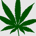 Florida Pot Legalization Push Hits Million Signatures for 2026 Ballot