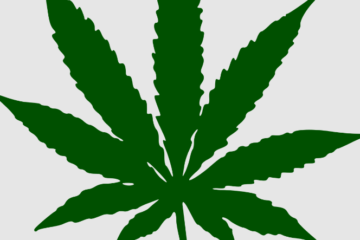 Florida Pot Legalization Push Hits Million Signatures for 2026 Ballot