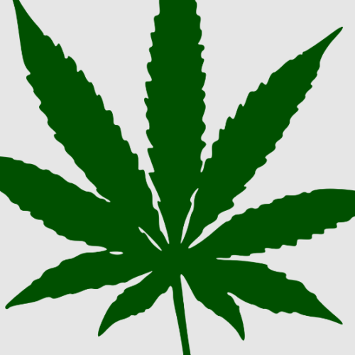 Florida Pot Legalization Push Hits Million Signatures for 2026 Ballot