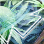 2026 Cannabis Legalization Fires Up US States