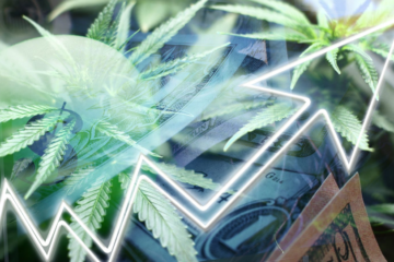 2026 Cannabis Legalization Fires Up US States