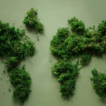 Washington Lawmakers Push to Let Airbnbs Gift Free Joints to Guests