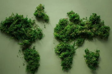 Washington Lawmakers Push to Let Airbnbs Gift Free Joints to Guests