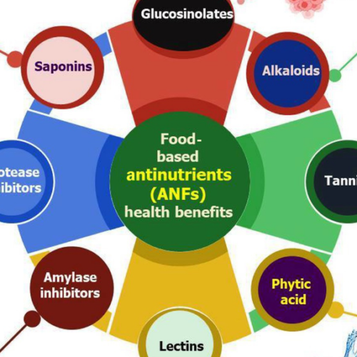 Trump Admin Ditches Alcohol Limits in Bold Diet Shift