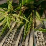 Virginia Advances Marijuana Sales Legalization Bill