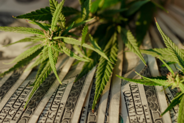 Virginia Advances Marijuana Sales Legalization Bill