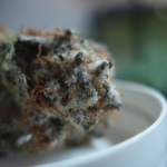 Hawaii Senate Demands Federal Marijuana Legalization