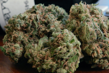 Louisiana Senate Clears Path for Hospital Medical Marijuana