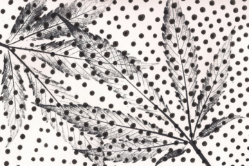 Trump Unlocks Tax Relief for Medical Marijuana Firms