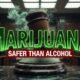 U.S. Feds Admit Marijuana Safer Than Alcohol at DEA Hearing