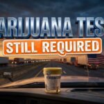 Congress Orders Marijuana Tests for Truck Drivers to Stay
