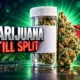 DEA marijuana rescheduling hearing Schedule III split