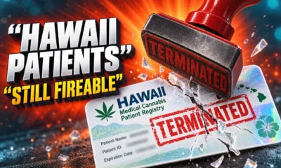Hawaii HB 325 medical marijuana workplace discrimination bill