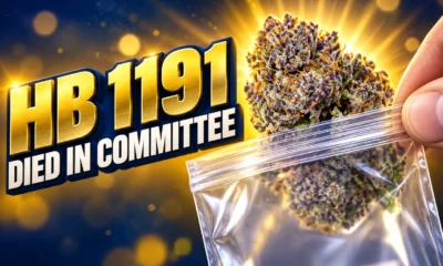 Indiana HB 1191 marijuana decriminalization died in committee