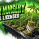 LEEF Lifted 1PN cannabis nursery Watsonville license status