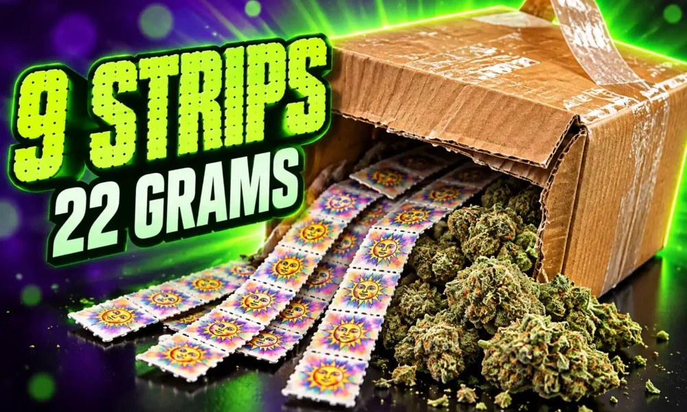 Surat dark web LSD hybrid cannabis Bangkok seizure