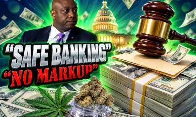 Tim Scott SAFE Banking Act committee delay