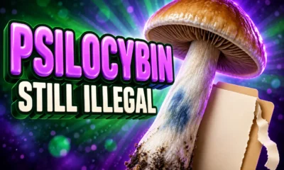 Vermont S.114 psilocybin legalization stripped study group