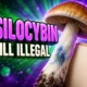 Vermont S.114 psilocybin legalization stripped study group