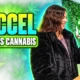 Accel first cannabis debit Visa still out