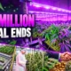 Cann Group 15 million Obsidian deal ends buyout