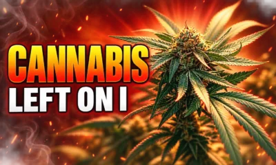 DEA hearing leaves adult-use cannabis on Schedule I