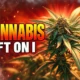 DEA hearing leaves adult-use cannabis on Schedule I