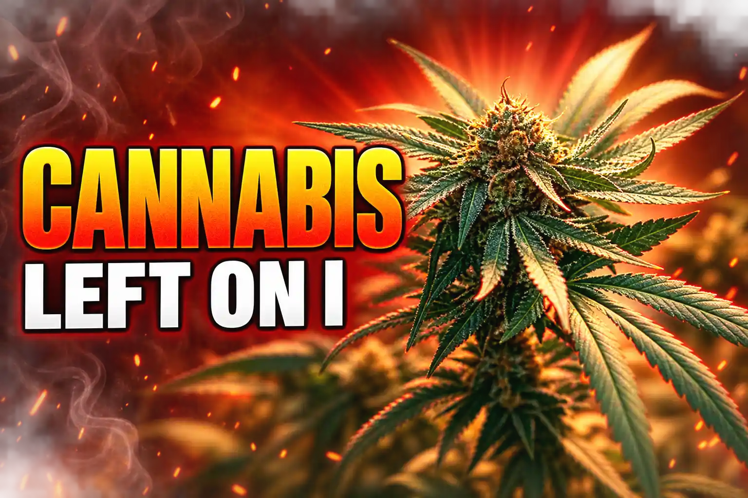 DEA hearing leaves adult-use cannabis on Schedule I