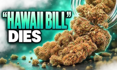 Hawaii medical marijuana job bill dies after 6-0