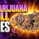 Indiana two-ounce marijuana bill died 2026