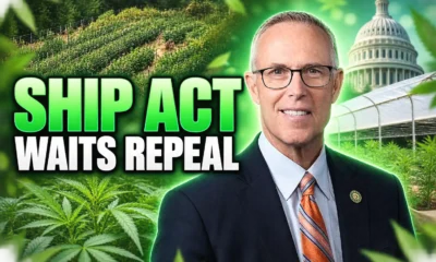 Huffman SHIP Act cannabis mail after prohibition repeal
