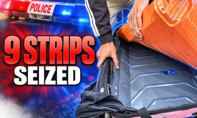 Surat 9 LSD strips 43 lakh dark web raid