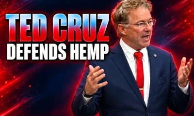 Ted Cruz defends hemp THC Senate vote