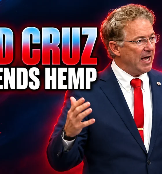 Ted Cruz defends hemp THC Senate vote