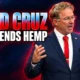 Ted Cruz defends hemp THC Senate vote