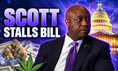 Tim Scott stalls cannabis banking bill markup