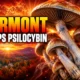 Vermont strips psilocybin legalization S.114 2024